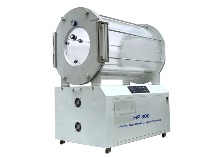 Home Hyperbaric Oxygen Therapy: Improve Sub-health of Skin and Return to Youthful State